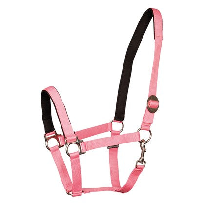 Halfter Unterlegt - Reitsportwelt