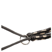 BR Longierhilfe