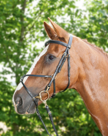 Mexikanischer Zaum HKM