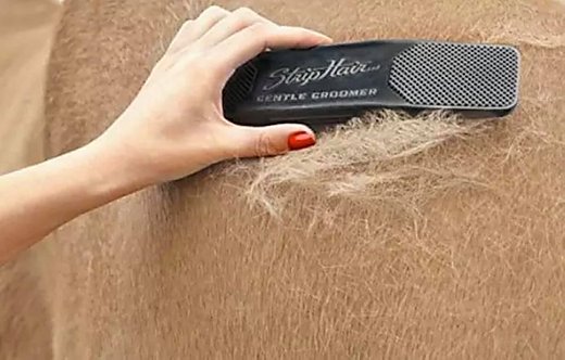 Strip Hair Gentle Groomer Horses - Reitsportwelt