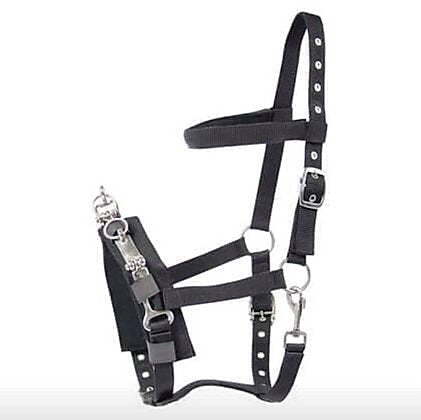 Kappzaum Nylon - Reitsportwelt