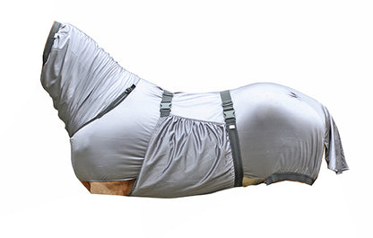 Ekzemer-Decke Security