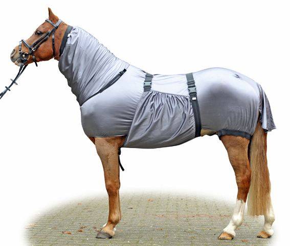 Ekzemer-Decke Security