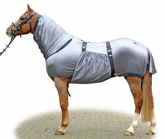 Ekzemer-Decke Security