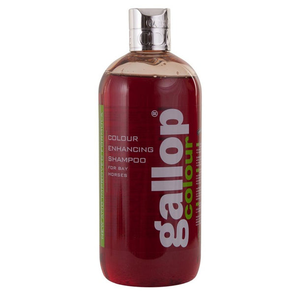 Gallop Shampoo Colour Bay 500ml