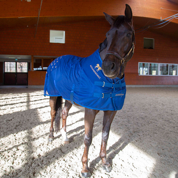 Accuhorsemat Cooler mit Akupressurmatten