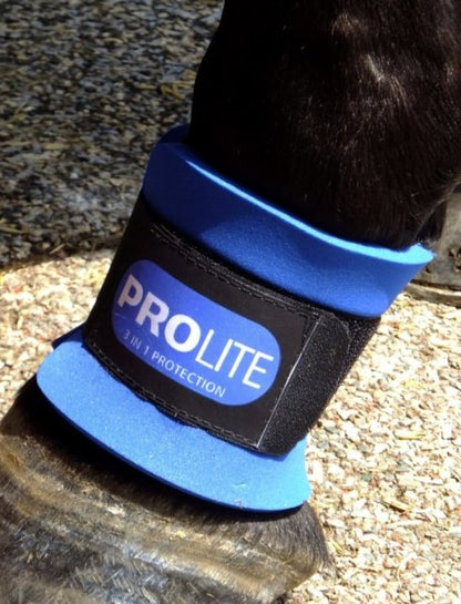 Fesselschoner Prolite