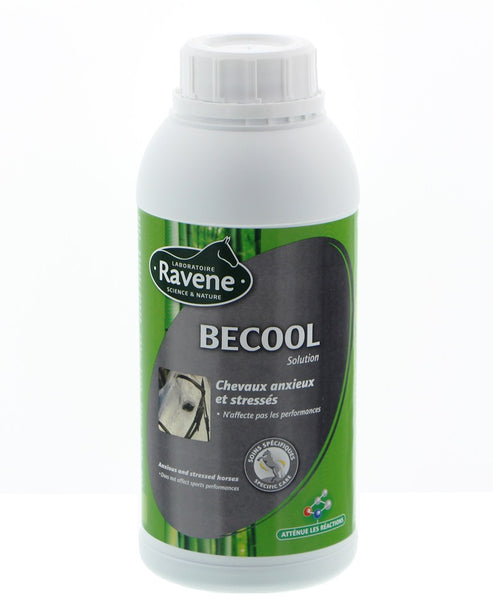 BeCool Beruhigungsliquid 500ml - Reitsportwelt