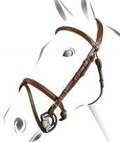 Jumping Bridle