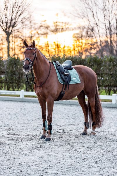 Schabracke Lovely Pearl Dark Sage