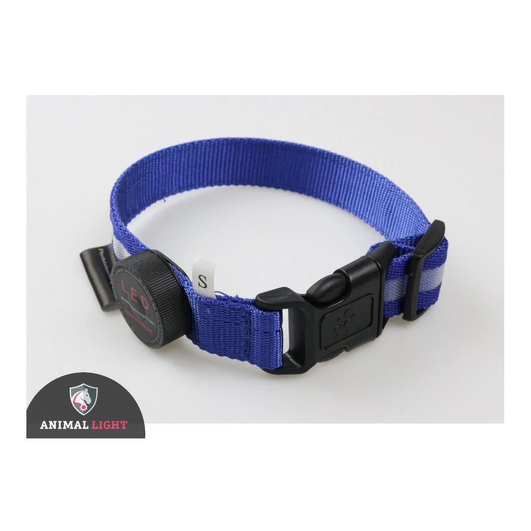 Leucht-Hundehalsband Cash