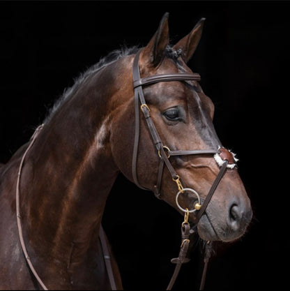 Mexikanischer Zaum HKM