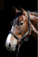 Halfterset Clincher Roségold Next - Reitsportwelt