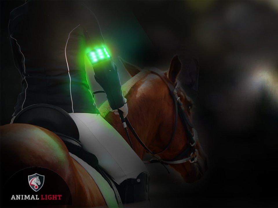 Leucht-Armbinde Flex