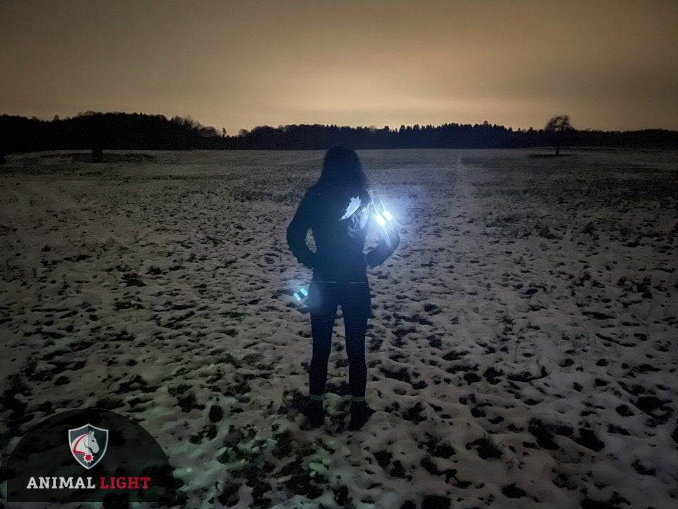 Leucht-Armbinde Flex