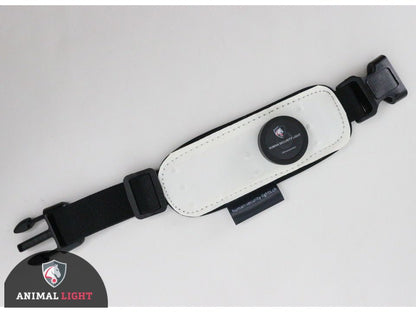 Leucht-Armbinde Flex