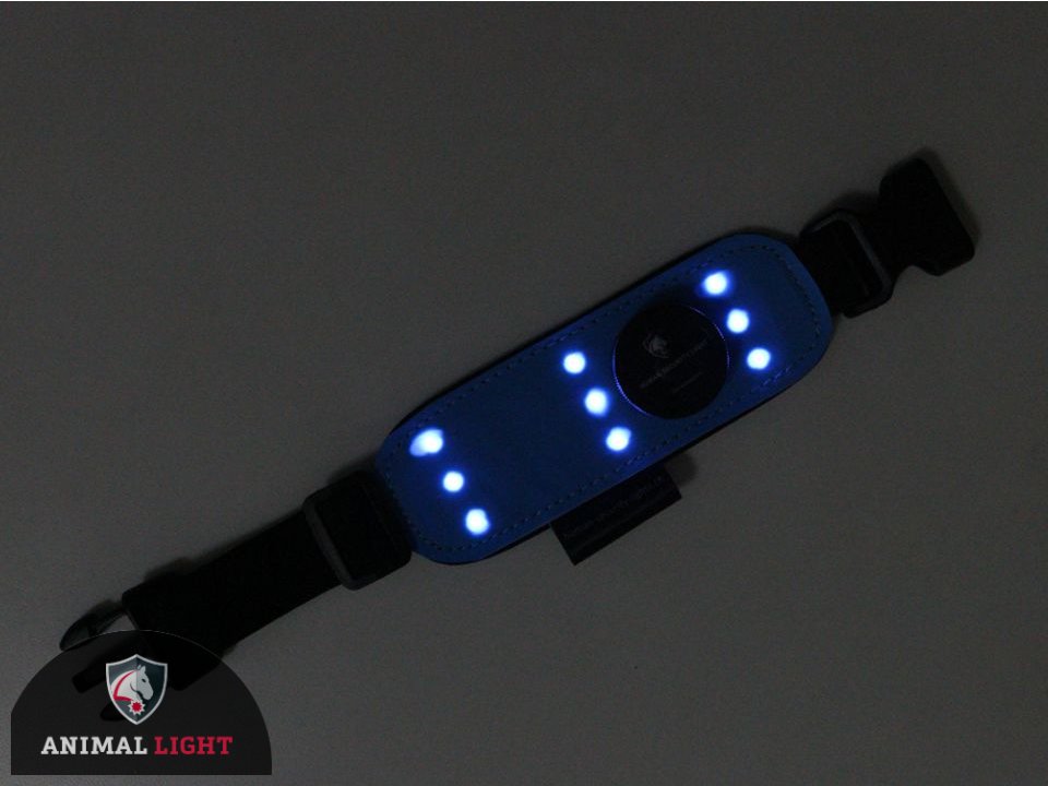 Leucht-Armbinde Flex