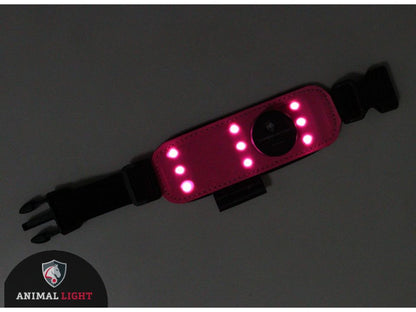 Leucht-Armbinde Flex