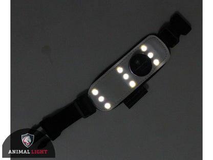 Leucht-Armbinde Flex