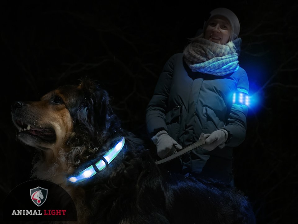 Leucht-Armbinde Flex